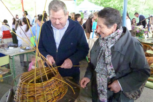 ceipcesteiro368BE0E7-008E-8936-166F-E6C61B814DBA.jpg
