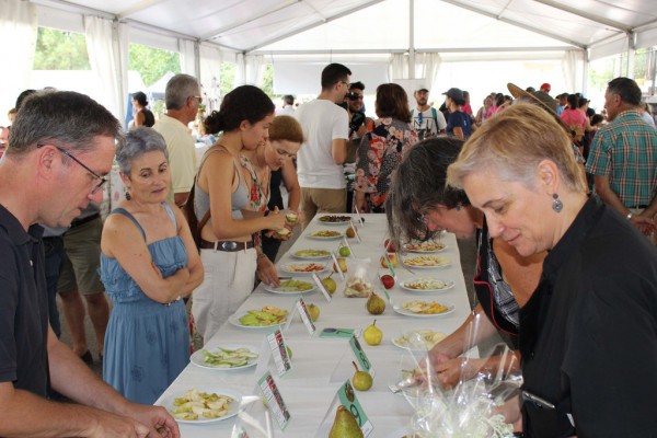 festafroitacata6C4B5C55-EE54-D6CE-22AF-A4A0FD1B1690.jpg
