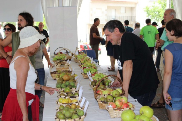 festafroitaexposicion6813F4A8-80E6-D56E-6E85-BC9395914DFC.jpg