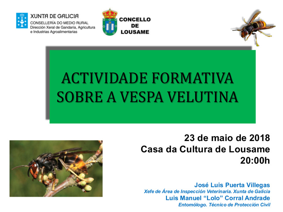 Actividade formativa sobre a Vespa Velutina