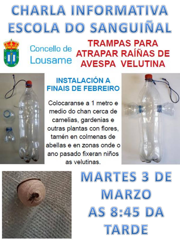 Charla informativa: Trampas para atrapar raíñas de avespa velutina